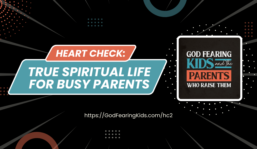 Heart Check - true spiritual life for busy parents - a life-changing resource recommendation